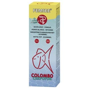 Colombo Femsee